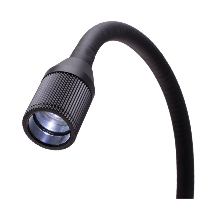 Sirrus Task Light LED High Intensity Fixed Focus with 500mm Flex Arm and Mounting Clamp