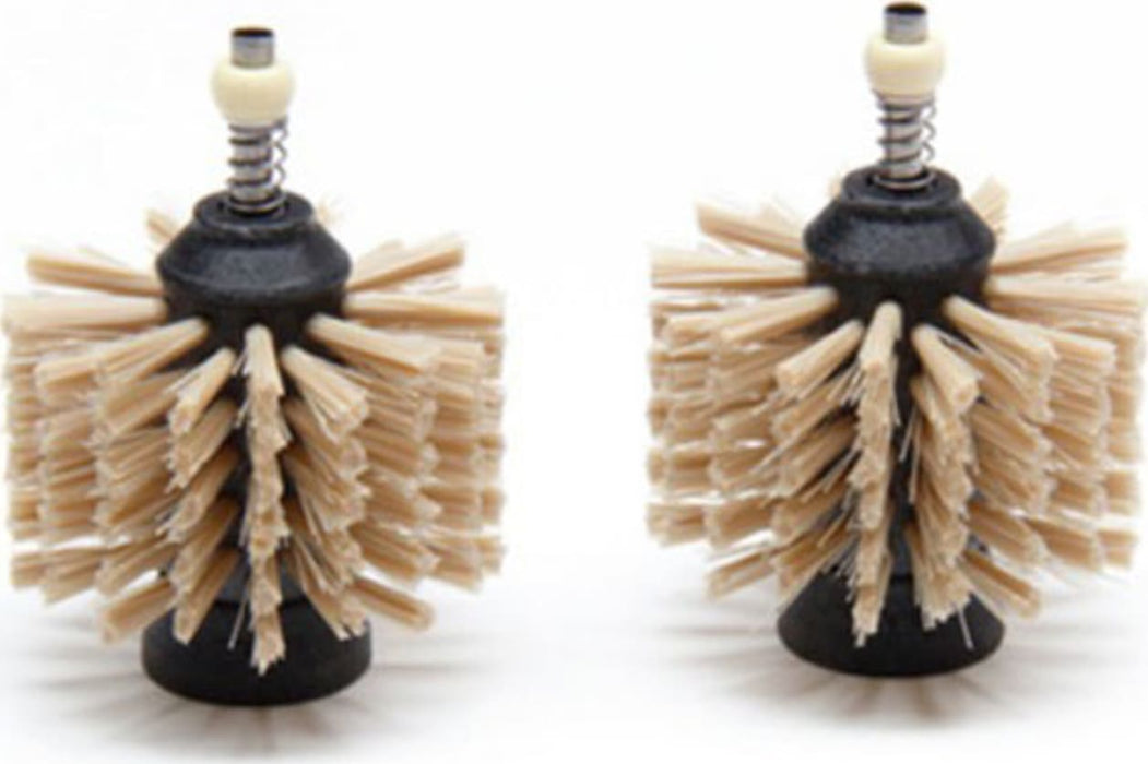 Non-Metal Brushes for CLB