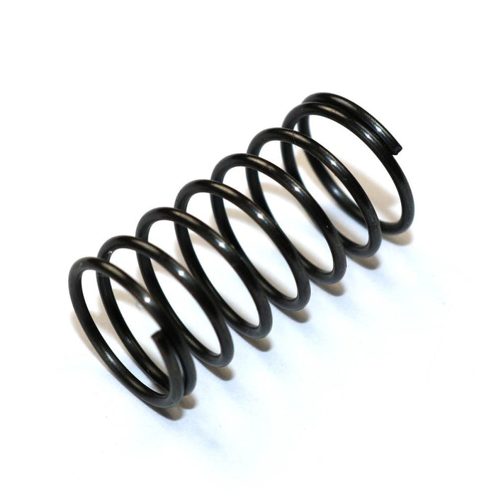 B2949 Back Holder Spring