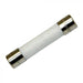 B5039 Fuse 250V-15A