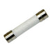 B5039 Fuse 250V-15A
