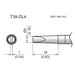 T39-DL4 Chisel Tip
